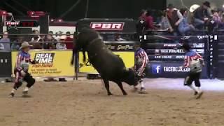 Trey Holston rides Coal Face for 87.5 points