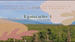 Seven Mile Hill Sanctuary Alaskan Frontier Journey First Episode