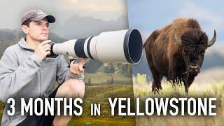 I Spent 3 Months Photographing Wildlife in Yellowstone