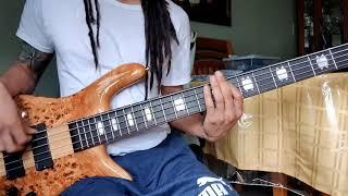 LaBella Stainless Strings w Spector Euro 5LX