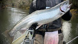 Winter Steelhead Bead Fishing | Featuring Popov and Big Dave!