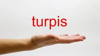 How to Pronounce turpis - American English