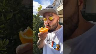 WANT to tay may Orenge  vs Tomato #funny #shorts