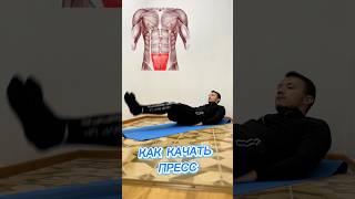 Как накачать пресс в домашних условиях#пресс #тренировка  #спорт