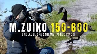 M.Zuiko 150-600 im Ersteindruck ᐅ "Tiere endlich formatfüllend"