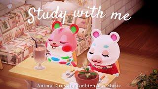 Pomodoro 25/5 - 2-HOUR STUDY WITH  Apple & Flurry  /  Cute Lo-fi music & Room Ambience 