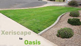 Front Yard Xeriscape to Grass Transition Project S1;E1