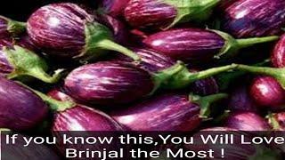 Health Benefits of Brinjal