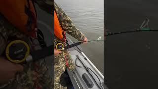 #рыбалка #fishing #сомы #юмор #мем