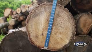 Log Scale