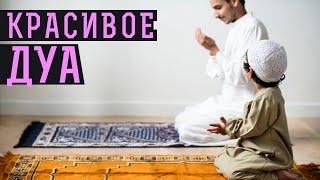 Красивое Дуа | Дуа для всех! | Дуа на каждый день《24》