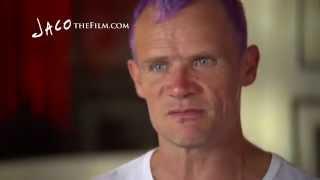 Flea on Jaco Pastorius's Musicianship