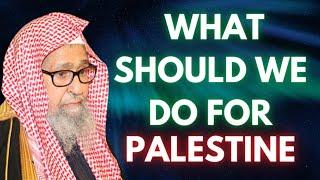 What Should We Do For Palestine? - Shaykh Saleh Al Fawzan (Original Clip Uploaded on Feb 9 2019)