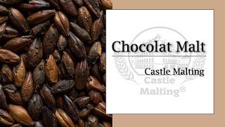 Château Chocolat Malt | Malt Review | Castle Malting TV