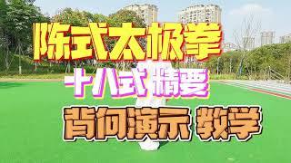 陈式太极拳精要十八式教学，背向演示适合跟练，初学者的好教材