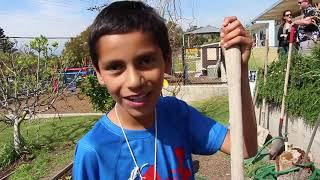 School Gardens Grow Community