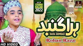 Heart Touching Naat | Hara Gumbad | Rohan Raza | ZDS STUDIO