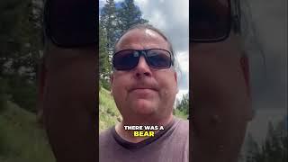 We Spotted a Bear in Yellowstone! Must See Wildlife