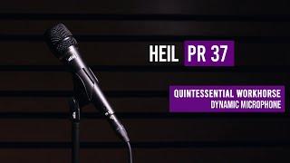 Heil Sound PR 37 Dynamic Microphone for Live Sound and Vocal Recording