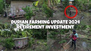 DURIAN FARMING UPDATE 2024.RETIREMENT INVESTMENT.