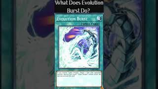 What Does Evolution Burst Do?