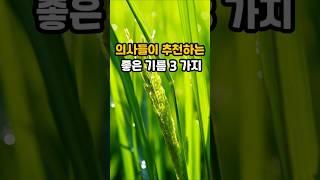 의사들이 추천하는 좋은 기름 세 가지 #건강 #영양식 #면역 #꿀팁 #음식 #식용유