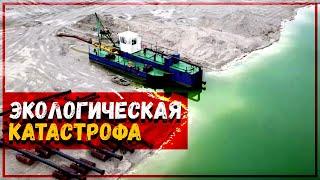 ДЕНЬГИ ЗА УНИЧТОЖЕНИЕ ПРИРОДЫ. Экологическая катастрофа в Крыму. Местные власти закрывают глаза