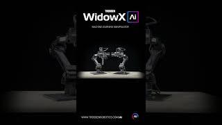 Trossen WidowX AI