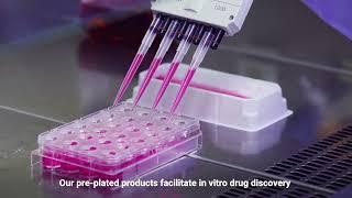 ReadyCell by MedTech Barcelona - Ready-to-use cell based in vitro plates