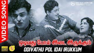 Odivathu Pol Idai Irukkum Video Song | HD AUDIO | Gemini Ganesan | Devika | PB Srinivas | P Susheela