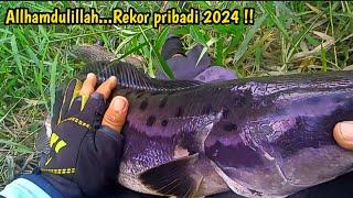 RAKOR PRIBADI  !! TOMAN TERBESAR 2024 || Casting Toman Kalimantan