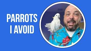 3 Categories of Parrots I Avoid