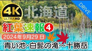 Hokkaido】Flash Report!Blue Pond, Shirohige no Taki Waterfall - Tokachidake Onsen (Mt. Tokachi) 2024