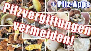 Pilze sammeln gefährlich? Aktuelle Vergiftungsfälle & wie diese vermieden werden können | Pilz-Apps