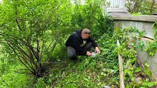 FOUND HUMAN REMAINS BURIED in this Elderly Ladies Overgrown Yard?