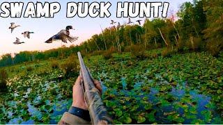 Duck Hunting a FLOODED SWAMP For MALLARDS and WOOD DUCKS! | Duck Hunting 2024!