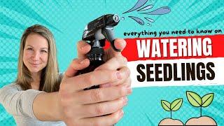 Mastering Seedling Watering: Essential Tips for Healthy Growth 