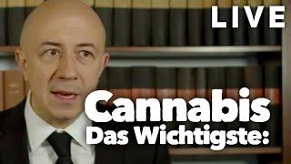 So machst Du Dich nicht strafbar: 10 Tipps Live
