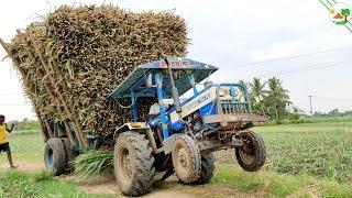 Swaraj tractor 744 FE fully loaded trolley | Tractor Videos | Come to Village