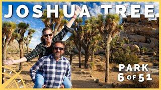 ️ Joshua Tree: When You Only Have One Day | 51 Parks with the Newstates