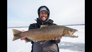 Ice Fishing for Lake Superior Brown Trout and Splake | S5E3 | Superior Angling T.V.