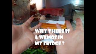 What a wemos is doing in my fridge ??