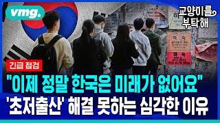 [지식뉴스] "이제 정말 한국은 미래가 없어요"...초저출산, 절대 해결 못하는 심각한 이유 (ft. 전영수 한양대 국제학대학원 교수) / SBS / 교양이를 부탁해