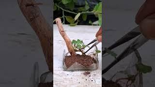 Nature art || at home made|| trending #short #video