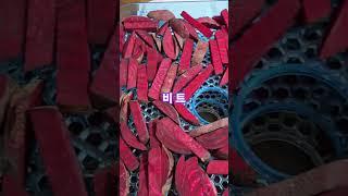 비트를 건조기에 말려서 생수병에 넣어 우려마시면 좋다고 합니다 #Shorts