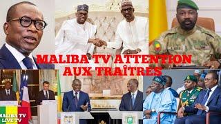 MALIBA TV: TRÈS TRÈS URGENT POURQUOI LE BÉNIN SOUHAITE UNE COOPÉRATION AVEC LE MALI