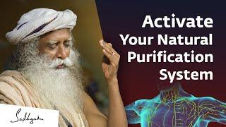 Activate The Body's Natural Purification System