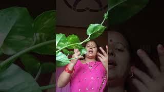 Pahari song by kamla nitwal