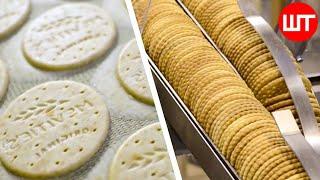 Biscuit Factory Process | How Biscuits Are Made In Factory