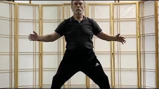 Taiji Ball exercise with Bill Helm